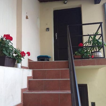 אולומוץ Apartman V Centru מראה חיצוני תמונה