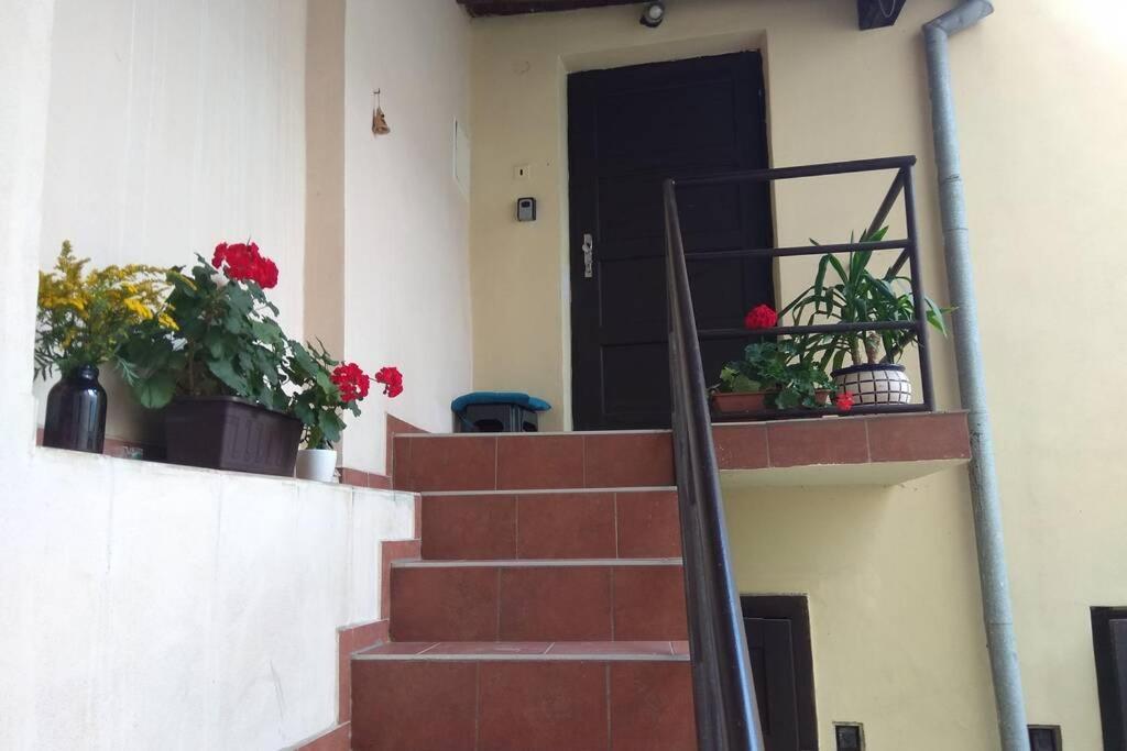 אולומוץ Apartman V Centru מראה חיצוני תמונה