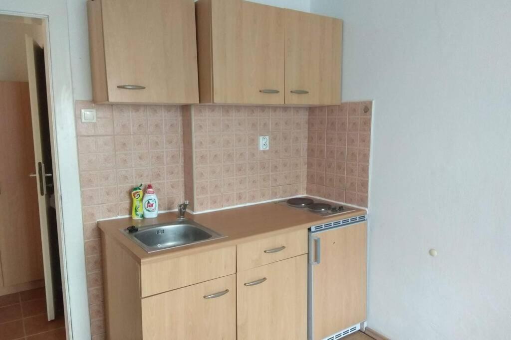 אולומוץ Apartman V Centru מראה חיצוני תמונה