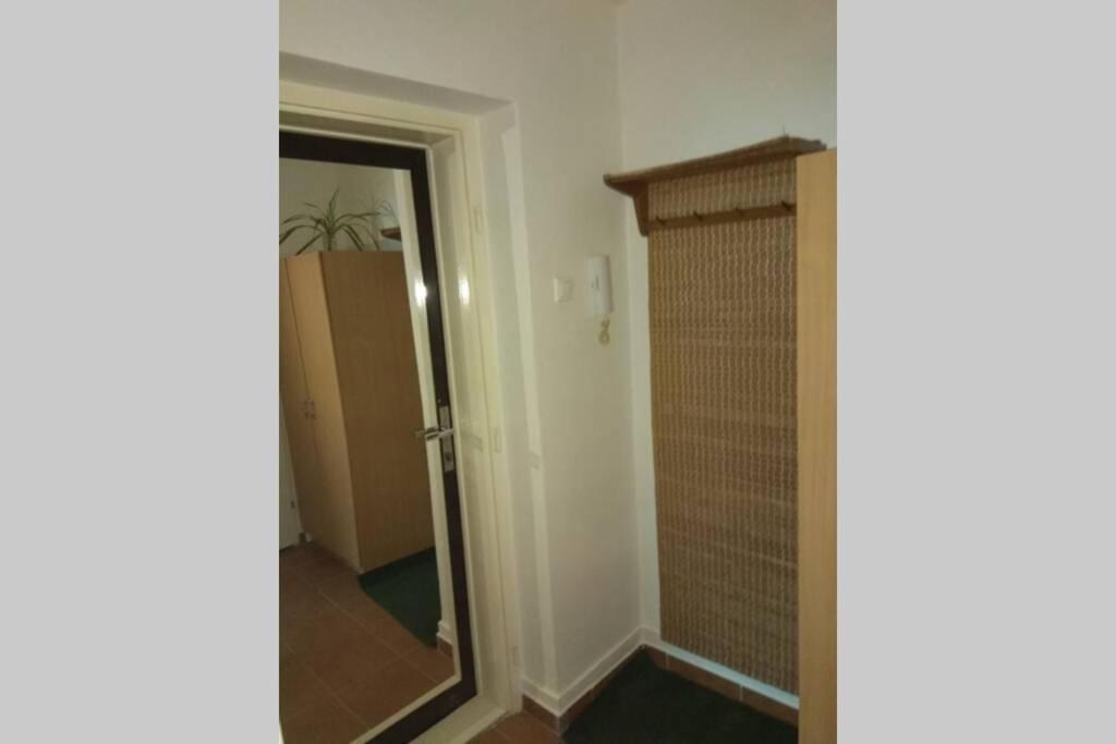 אולומוץ Apartman V Centru מראה חיצוני תמונה